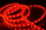 Red Color LED Rope Light with Various Choice