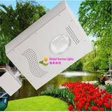 High Luminance, Energy-Saving, Best-Selling Mini Integrated Solar Street Light