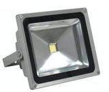 LED Flood Light