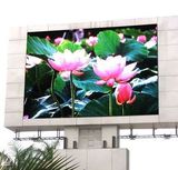 P20 Full Color LED Display/Outdoor Full Color LED Display