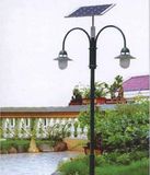 10W/20W/30/40W/50W/60W LED Solar Garden Light