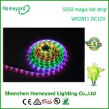 60 LEDs 5050 LED Flexible Strip Light Ws2811