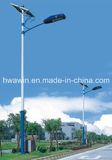 Energy-Saving LED Solar Street Light