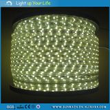 SMD5050 Flexibele LED Strip Light for Decoration 100m