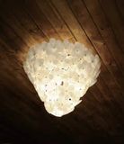 Hotel Lighting Flower Decoration Ceiling Lamp (1068c)