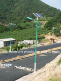 40W Solar LED Street Light with Green Color