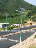 40W Solar LED Street Light with Green Color