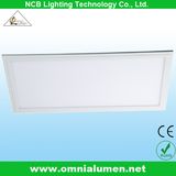 CE&RoHS Approved LED Ceiling Panel Light with 600*1200mm