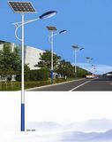 Wbr103 30W Single Lamp Solar LED Street Light