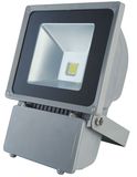 COB LED Flood Light