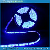 SMD5050 Holiday LED Strip Light for Decoration 50m 100m