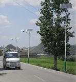 Popular 90W Solar LED Street Light