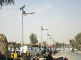 30W Solar LED Street Light (LTE-SSL-001)