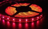 5m 3528 Red DC12V 150 SMD LED Flexible Strip Light Non Water Proof