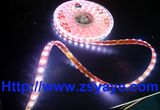 SMD 5050 LED Flexible Strip Light (YAYE-R5050FS60-12V)