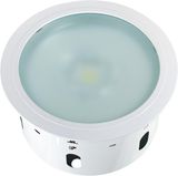 LED Down Light 11W (240TDI)