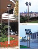 30meter LED Street Light (SYH-14801)