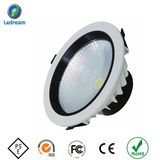 Best COB LED Down Light 25W