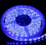 12V SMD5050 300LEDs Bule Flexible Strip Rope Light