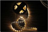 4.8W/M 60LEDs 12V SMD 3528 LED Strip Light