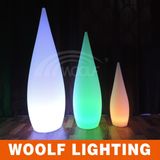 Outdoor Waterproof Holiday Decor LED Lights