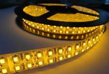 Glue Waterproof 3528 240LED/M SMD LED Light Strip