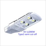 80W Bridgelux Chip High Quality LED Outdoor Light