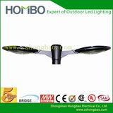 Professional Manufactor 60W LED Garden Light Outdoor Light (HB035-05)