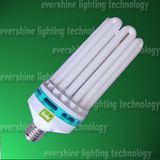 U-Tube Compact Bulb & Lamp