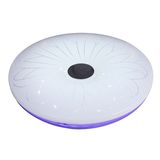 Round Ceiling Light LED (SMR12-36W)