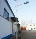 6m 30W Super Bright LED Solar Street Light