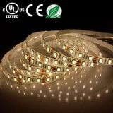 Display Light, UL Certification, SMD3528 12V LED Flexible Strip Light,