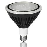 LED Landscape PAR38 Spotlight with IP67