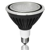 LED Landscape PAR38 Spotlight with IP67