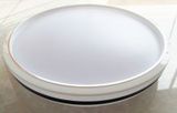 8347 15W 18W 20W 22W 24W LED Ceiling Light