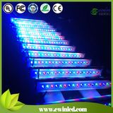 DMX512 RGBW Light IP65 LED Wall Washer with 4in1