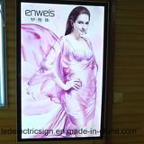 Professional Advertising Aluminum Frame LED Light Box