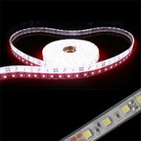 SMD 3528 LED Strip Light