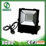 Remote Control Outdoor LED Flood Lights 30W 220V Light Flood