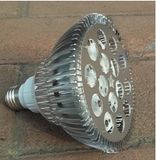 LED Spotlight (TP-S01-015W01)