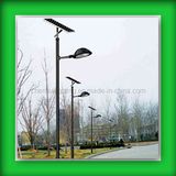 6.5m Solar LED Garden Lights (CH-TYN228)