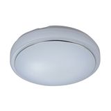 Top-Rated LED Ceiling Light (SMR01-18W)