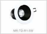 5W High Brightness LED Down Light