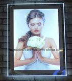 Ultra Thin Wall Mounted Acrylic Crystal LED Light Box