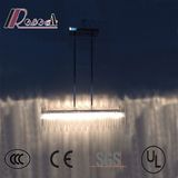 LED Glass Tube Ceiling Light