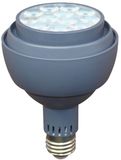 30W PAR30 LED Spotlgiht