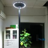 CE & IP65 Certification Solar LED Garden Light, High Brightness Solar LED Motion Sensor Light Jr-Nm01