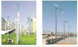 Wbr0067 40W Single Lamp LED Street Solar Light