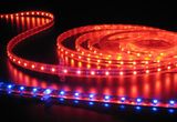 Digital RGB Ws2812b DC5V Full Color Strip LED Light