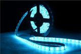 3 Meters Blister Packaging 5050 LED Strip Light